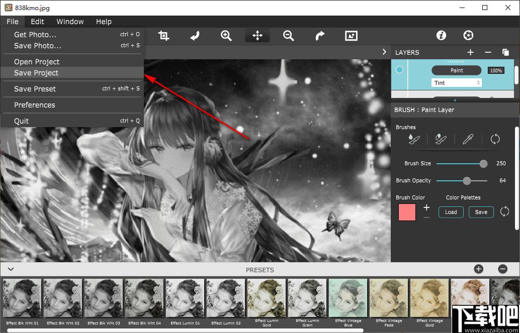 Hand Tint Pro下载,图像处理,图像效果